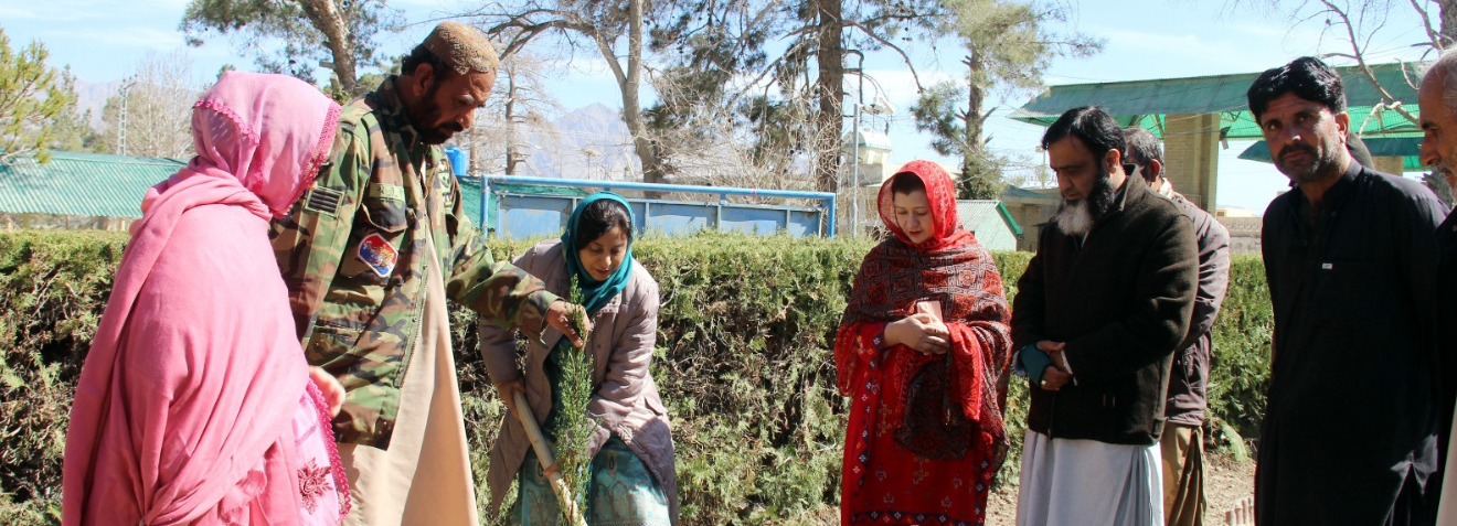  Tree Plantation